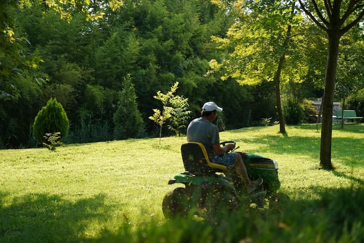Lawn